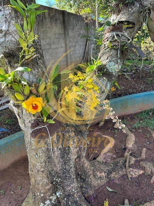 Casa em Medeiros, Jundiaí - Foto 62