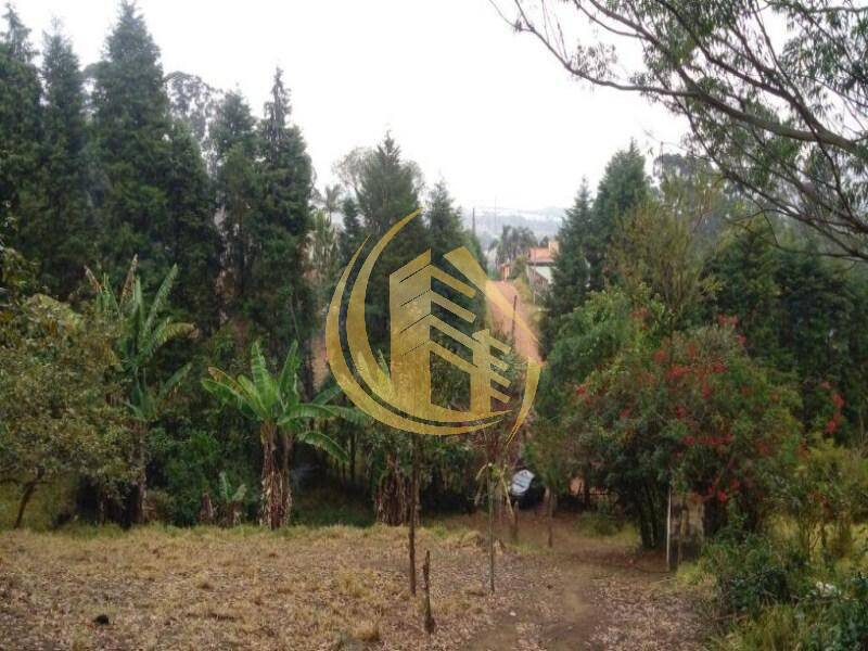 Terreno em Jundiaí Mirim, Jundiaí - Foto 2