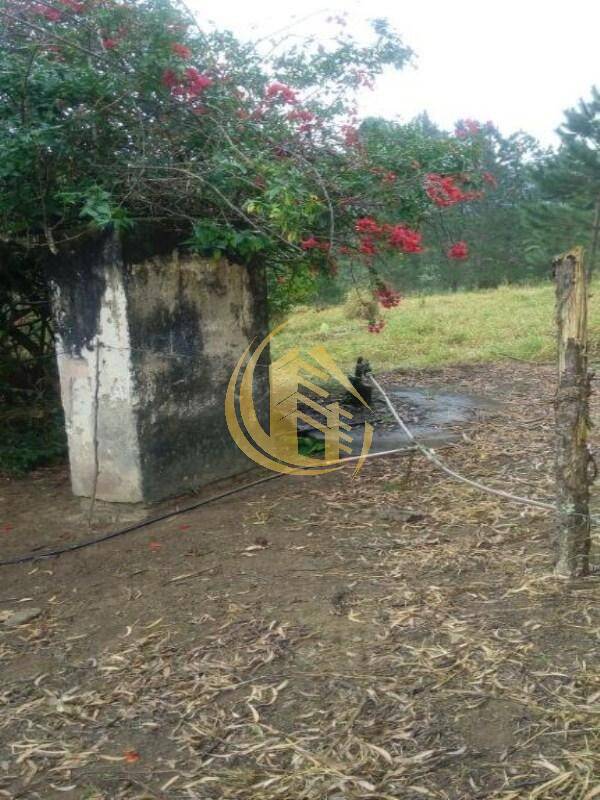 Terreno em Jundiaí Mirim, Jundiaí - Foto 22