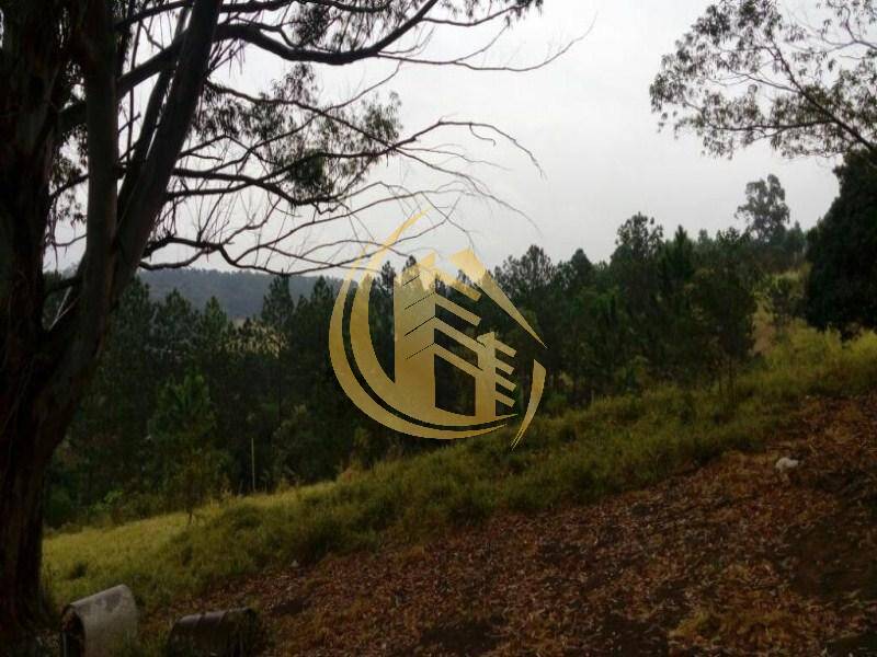 Terreno em Jundiaí Mirim, Jundiaí - Foto 23