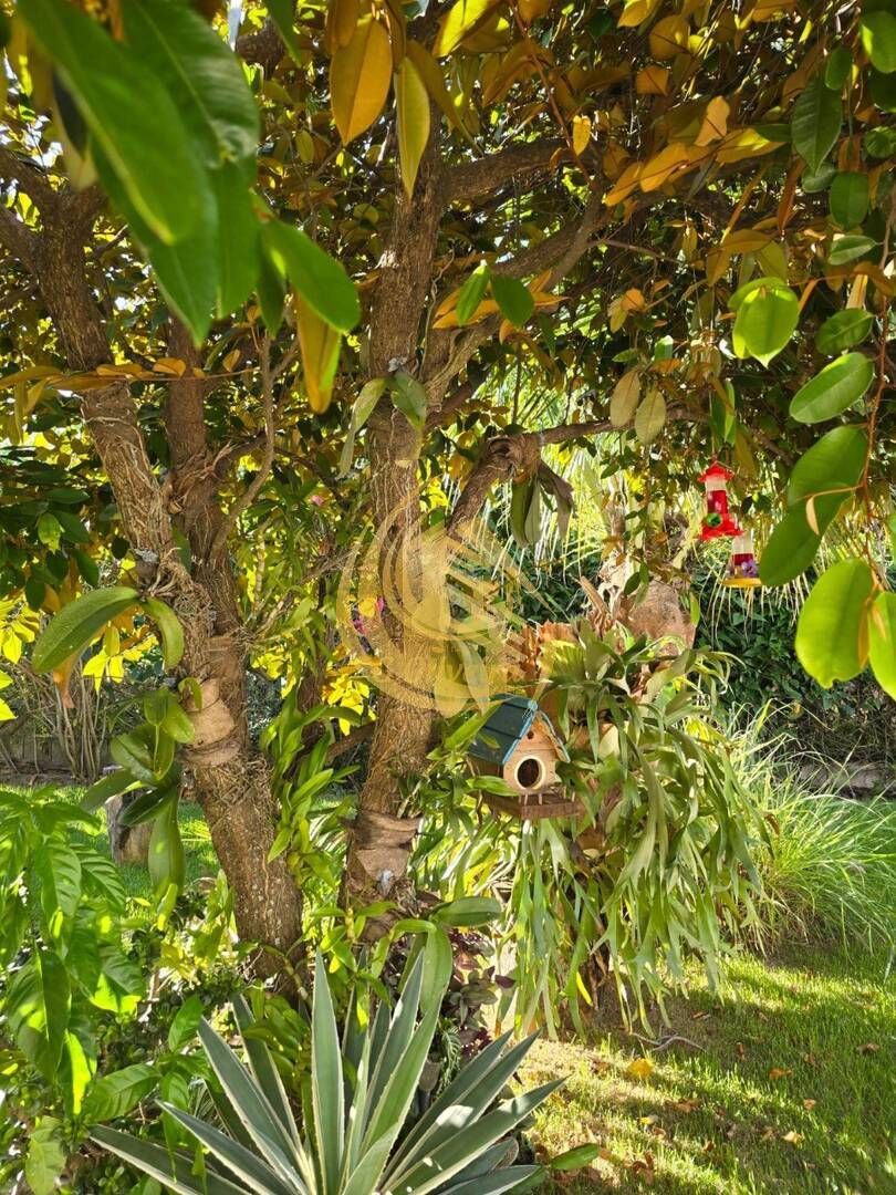 Casa em Jardim Ribeirão 2, Itupeva - Foto 74