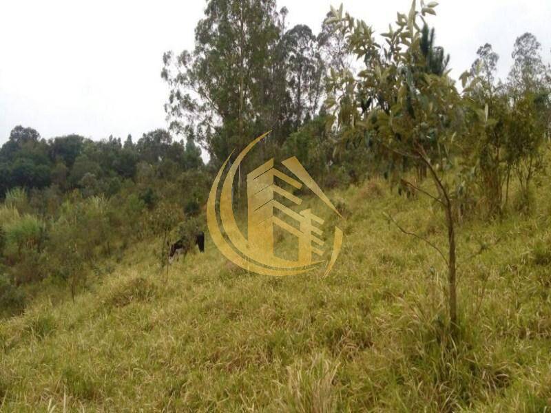 Terreno em Jundiaí Mirim, Jundiaí - Foto 26