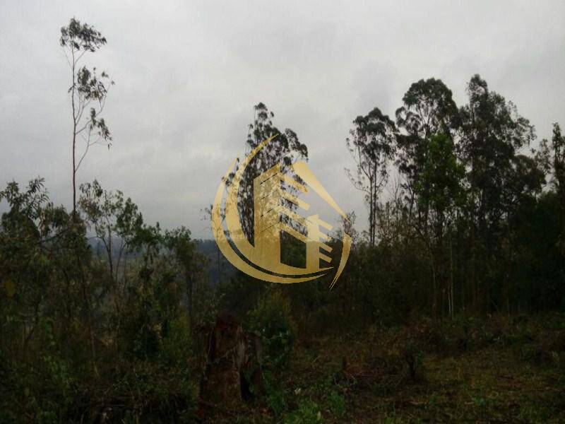 Terreno em Jundiaí Mirim, Jundiaí - Foto 27