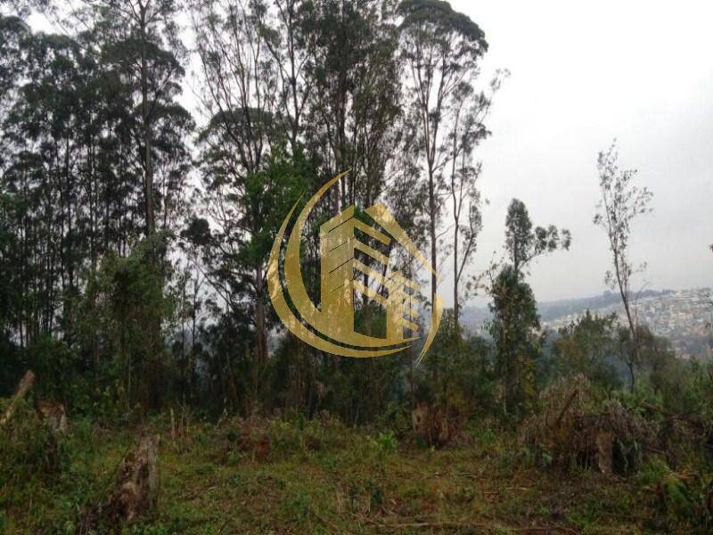 Terreno em Jundiaí Mirim, Jundiaí - Foto 29