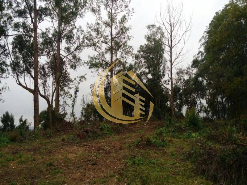 Terreno em Jundiaí Mirim, Jundiaí - Foto 30