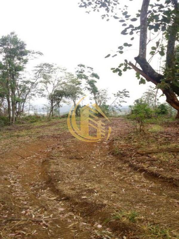 Terreno em Jundiaí Mirim, Jundiaí - Foto 33